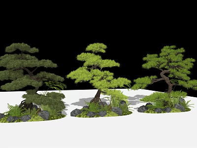 Three Arbor Trees In Garden Landscape With Stones And Green Plants 3d model