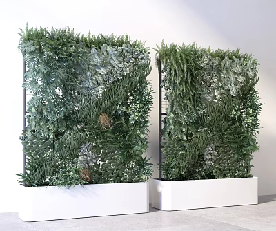 Living Plant Wall with Diverse Greenery in White Planter Boxes for Modern Interior Decor 3d model