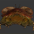 Red Spotted Lobster Fresh Aquatic Animal With Detailed Shell Texture And Claws