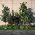 Trees With Shrubs Flowers And Grass In Outdoor Area With Textured Wall And Slate Floor
