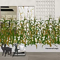 Decorative Harvest Corn Crops Plant Combination with Green Yellow Leaves in Modern Interior