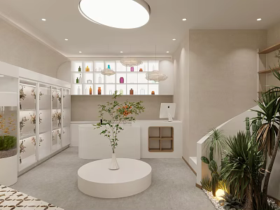 Specialty Store Interior With Display Cabinets Shelves Round White Platform Plants And Lighting 3d model