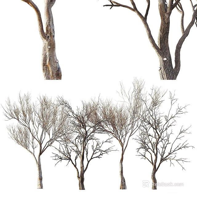 Various Arbor Trees With Different Trunk And Bare Branch Forms 3d model 