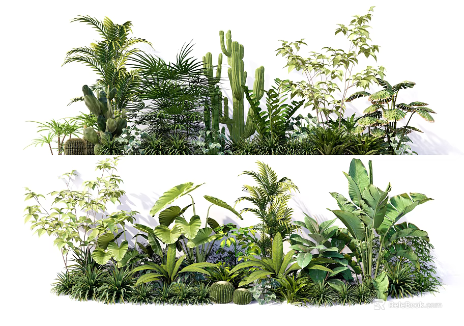 Diverse Tropical Plant Collection With Palms Cacti Ferns And Large Leaf Greenery 3d model 