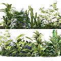 Diverse Tropical Plant Collection With Palms Cacti Ferns And Large Leaf Greenery