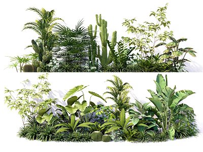 Diverse Tropical Plant Collection With Palms Cacti Ferns And Large Leaf Greenery 3d model