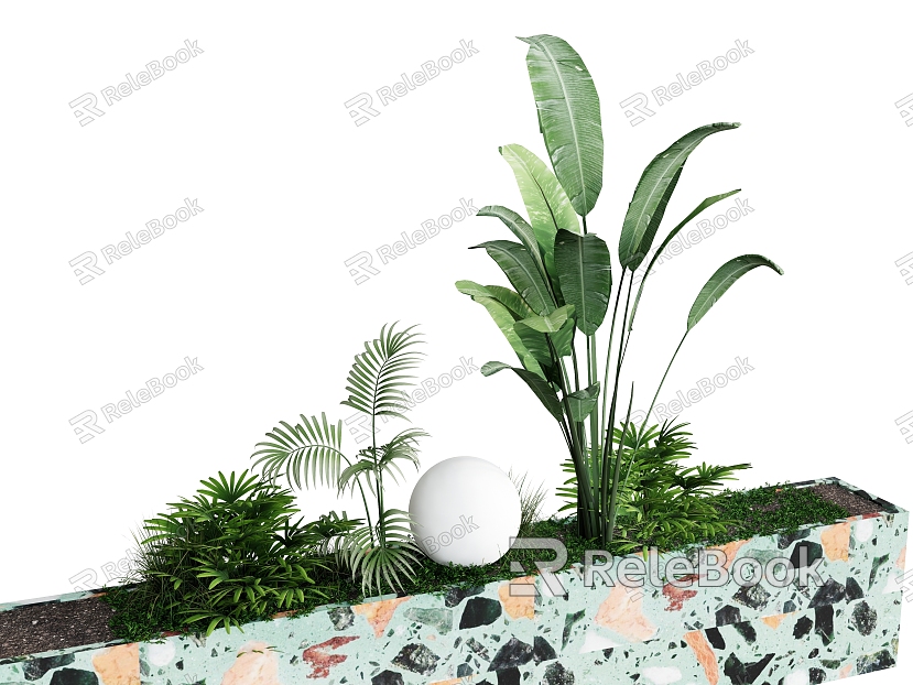 plant combination tropical plant green plant model