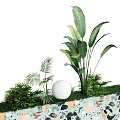 Hanging Basket Plants with Lush Green Leaves White Sphere and Colorful Speckled Planter