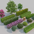 Diverse Garden Shrubs Including Flowering Bushes Trimmed Green Hedges and Ornamental Varieties