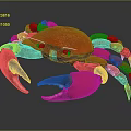 Vibrant Red Crab Featuring Large Claws And Long Legs On Gray Background 3d model