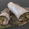 Natural Wood Stone Logs with Rough Texture and Organic Patterns 3d model