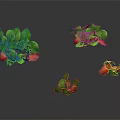 Strawberry Plants With Green Leaves And Red Fruits On Black Reflective Surface