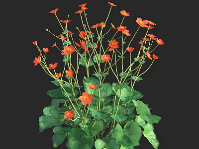 Vibrant Orange Flowers With Lush Green Leaves In Garden Plants 3d model