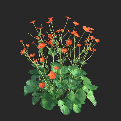 Vibrant Orange Flowers With Lush Green Leaves In Garden Plants 3d model