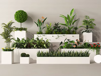 Elegant Plant Combinations With White Planters Green Shrubs Tropical Foliage And Flowering Plants 3d model