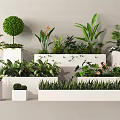 Elegant Plant Combinations With White Planters Green Shrubs Tropical Foliage And Flowering Plants