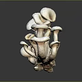 White Mushroom Cluster Sculpture With Multiple Caps And Stems Design 3d model