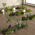 Lush Plant Arrangement With Green Moss Stones Round Lights Ferns On Wooden Floor Near Window