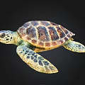 Colorful Sea Turtle Swimming with Tortoiseshell Pattern Shell and Flippers Underwater 3d model