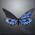 Blue Glowing Butterfly With Shiny Transparent Wings And Reflection On Dark Background