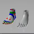 Colored Foot Model With Color Coded Sections And White Anatomical Reference Model 3d model