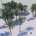 Coconut Tree Palm Tree Coconut Tree Palm Tree Coconut Tree Forest 3d model