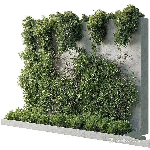 Lush Green Vertical Garden Feature with Plant Covered Wall and Low Shrubs on Concrete Base 3d model 