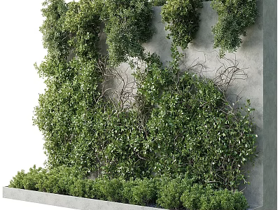 Lush Green Vertical Garden Feature with Plant Covered Wall and Low Shrubs on Concrete Base 3d model
