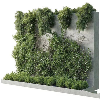 Lush Green Vertical Garden Feature with Plant Covered Wall and Low Shrubs on Concrete Base 3d model