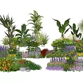 Vibrant Garden Flowers And Plants With Palm Leaves Ferns Purple Blooms And Stones