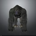 Gorilla 3D Model in Standing Pose With Detailed Fur and Gray Gradient Background 3d model