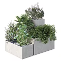 Various Types Of Flowers And Green Plants In Concrete Planters For Garden Decoration