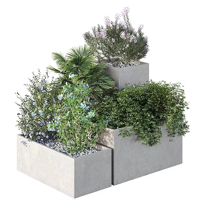Various Types Of Flowers And Green Plants In Concrete Planters For Garden Decoration 3d model