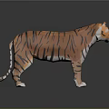 3D Tiger Model In Stylized Design With Orange Black Stripes And White Accents