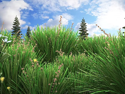 Shrubs in Lush Green Grass Field with Tall Pine Trees White Clouds and Yellow Flowers 3d model