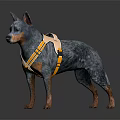 Dog Wearing Orange And Beige Harness Standing On Dark Surface Side Profile