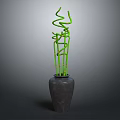 Elegant Green Twisted Bamboo Stems in Dark Ceramic Vase for Home Decor