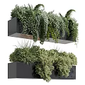 Decorative Bonsai Potted Plants With Layered Hanging Greenery In Black Containers