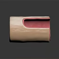 Tubular Organ Structure Showcasing Hair Covered Exterior And Pink Interior Tissue