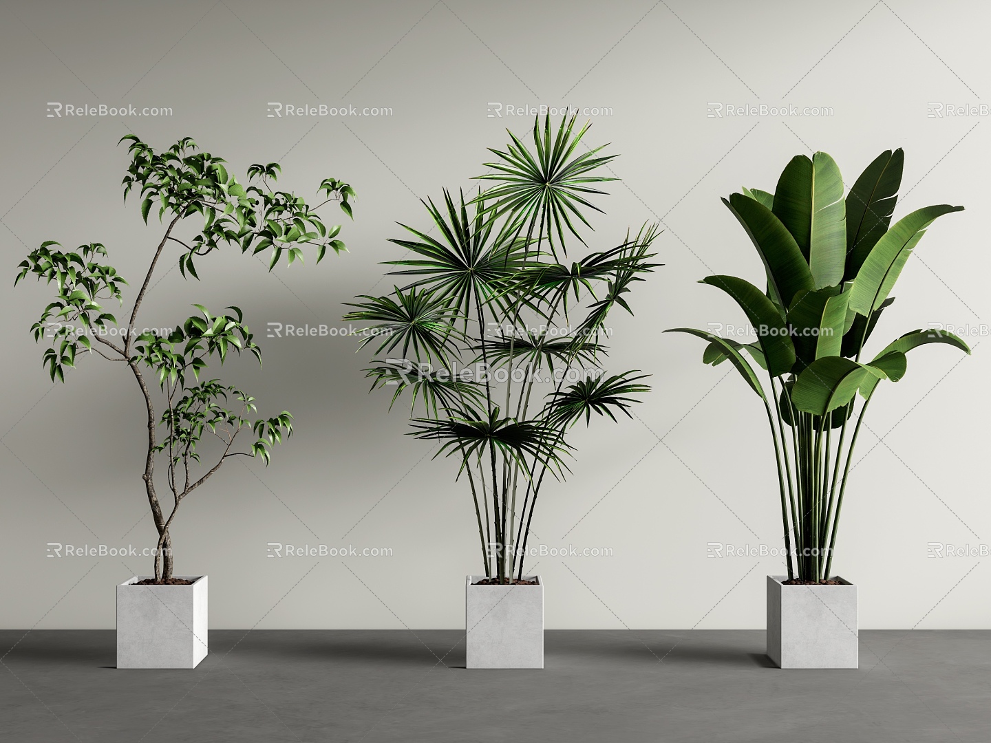 Bonsai plant combination 3d model