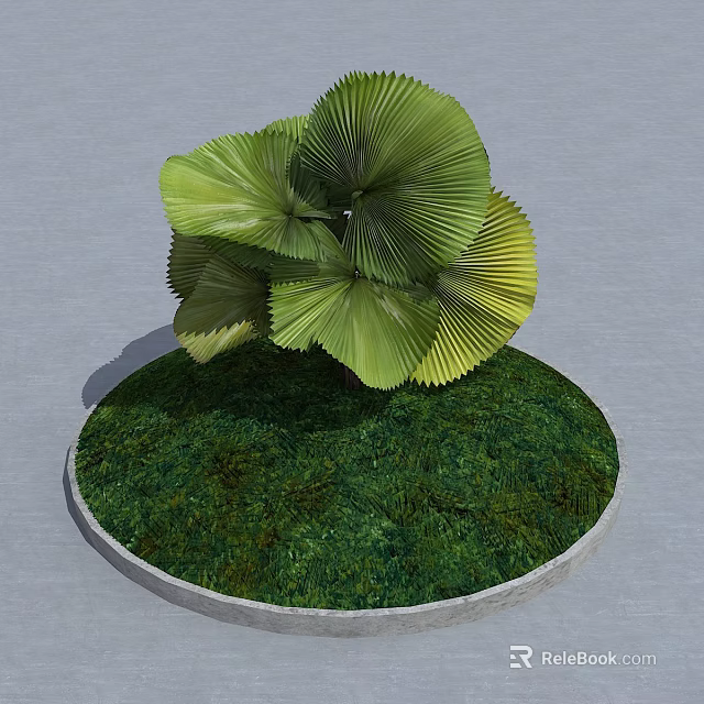 Garden Ornament With Circular Base Green Mossy Grass And Fan Shaped Leaves Plant 3d model 