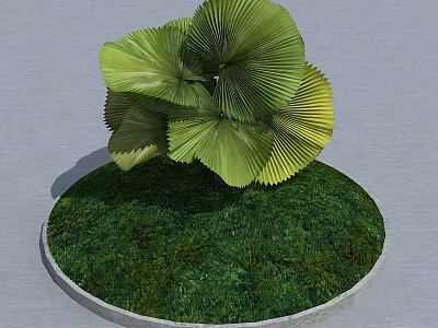 Garden Ornament With Circular Base Green Mossy Grass And Fan Shaped Leaves Plant 3d model