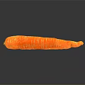 Modern radish carrot 3d model