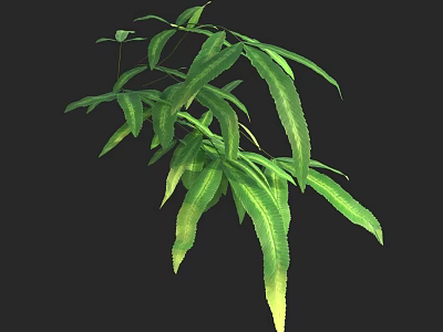 Fern Leaves With Long Slender Green Blades And Serrated Edges On Black Background 3d model