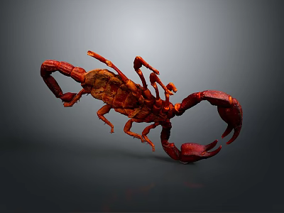 Detailed Red Scorpion Reptile 3D Model Isolated On Gray Background 3d model