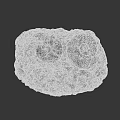 Natural Stone Specimen With Ammonite Fossils And Surrounding Shell Fragments 3d model