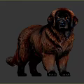 Fluffy Dog with Reddish Brown and Black Fur Blue Eyes in Standing Pose