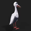 3D Stork Model with White Black Feathers Long Red Beak Red Legs and Blue Eyes