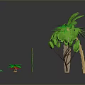 Various Green Tropical Plants Including Palm Trees Vine Decor And Small Potted Plants