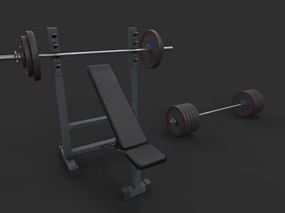 Strength Training Sports Equipment Including Bench Press and Barbells with Weight Plates 3d model